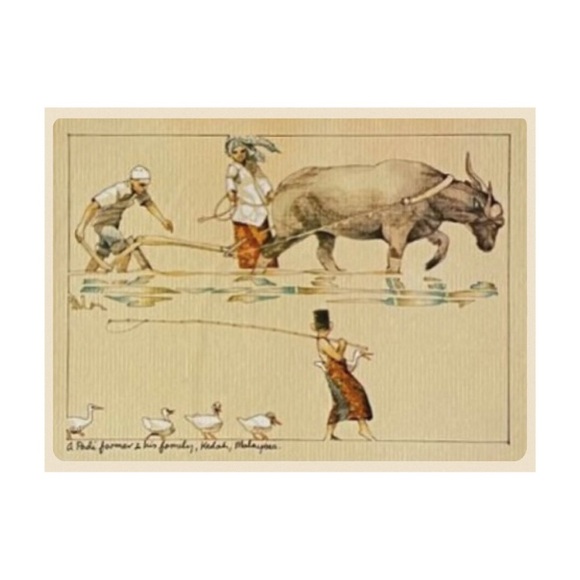 Hand Drawn Malaysian Greeting Card - Podi Farmer - Picture 2 of 8